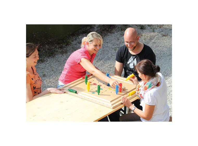 Pedalo Stor spelbräda för 11 st. spel 75 x 75 cm 
