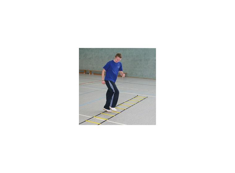 Koordinastionsstege Agility 8m Träningsstege m. sugkoppar och markfäste 
