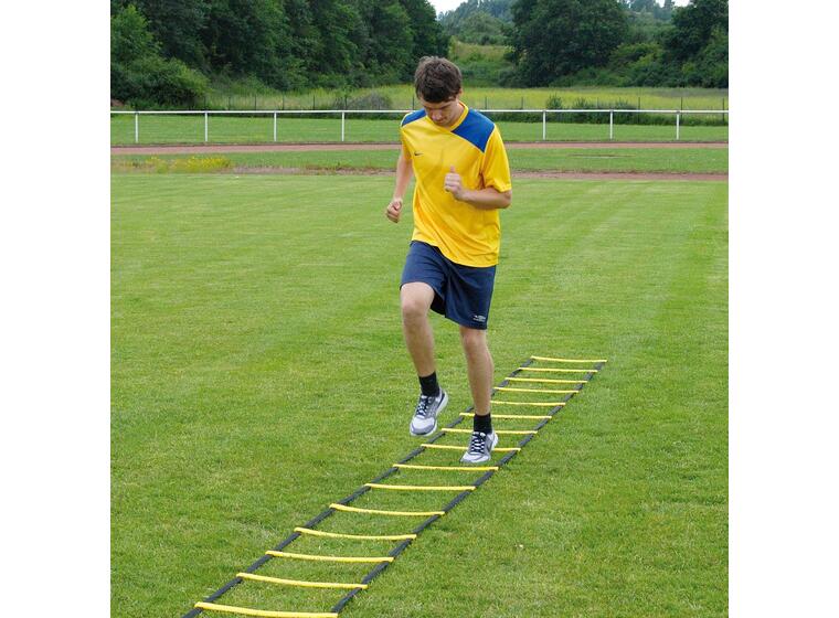 Koordinastionsstege Agility 8m Träningsstege m. sugkoppar och markfäste 