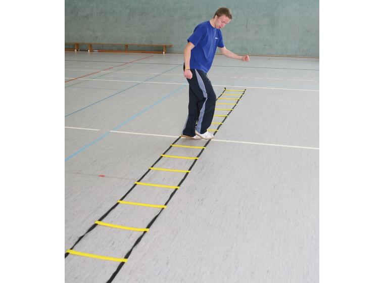 Koordinastionsstege Agility 8m Träningsstege m. sugkoppar och markfäste 