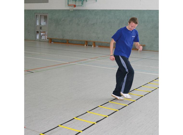Koordinastionsstege Agility 8m Träningsstege m. sugkoppar och markfäste 