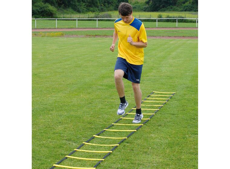 Koordinastionsstege Agility 8m Träningsstege m. sugkoppar och markfäste 