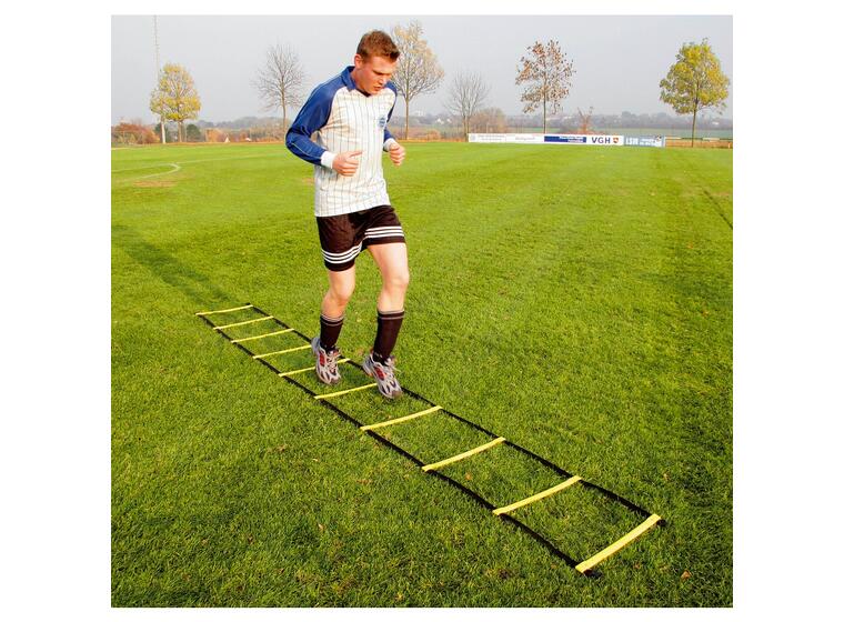 Koordinastionsstege Agility 8m Träningsstege m. sugkoppar och markfäste 
