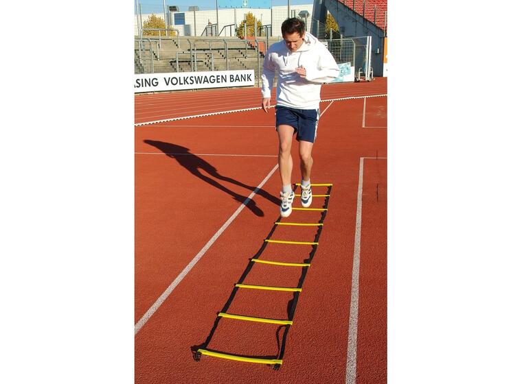 Koordinastionsstege Agility 8m Träningsstege m. sugkoppar och markfäste 