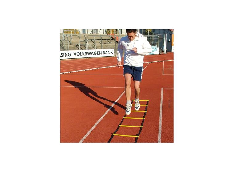 Koordinastionsstege Agility 8m Träningsstege m. sugkoppar och markfäste 