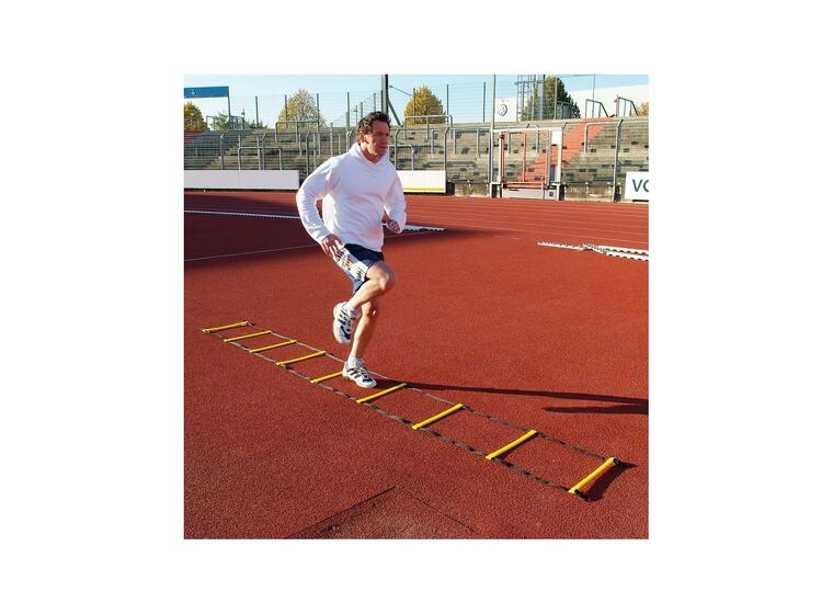 Koordinastionsstege Agility 8m Träningsstege m. sugkoppar och markfäste 