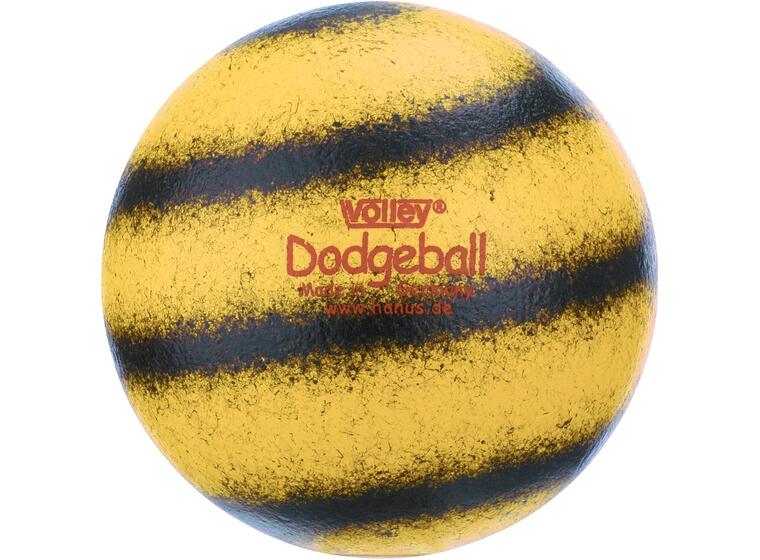 Volley Dodgeball Spökboll | 16 cm | 115 gram 