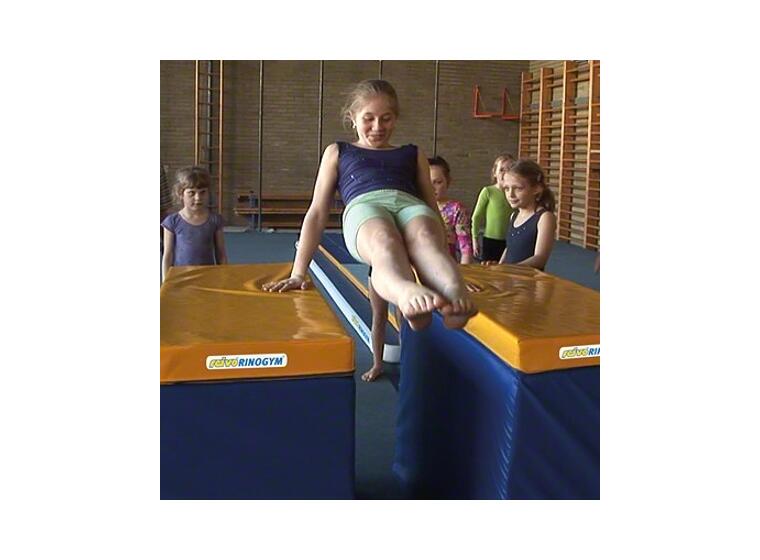 Skumplint Reivo® Rinogym 2 st. 120x150x80 cm 
