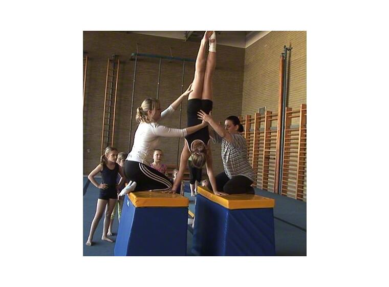 Skumplint Reivo® Rinogym 2 st. 120x150x80 cm 