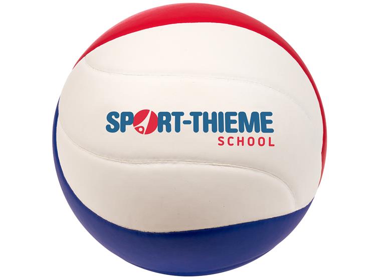 Volleyboll School strl 5 Volleyboll i bra kvalitet för skola