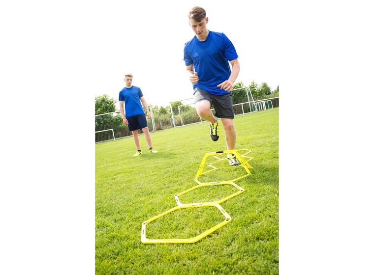 Koordinationsstege och häck 23 cm Llöpstege | Sexkantiga ringar 