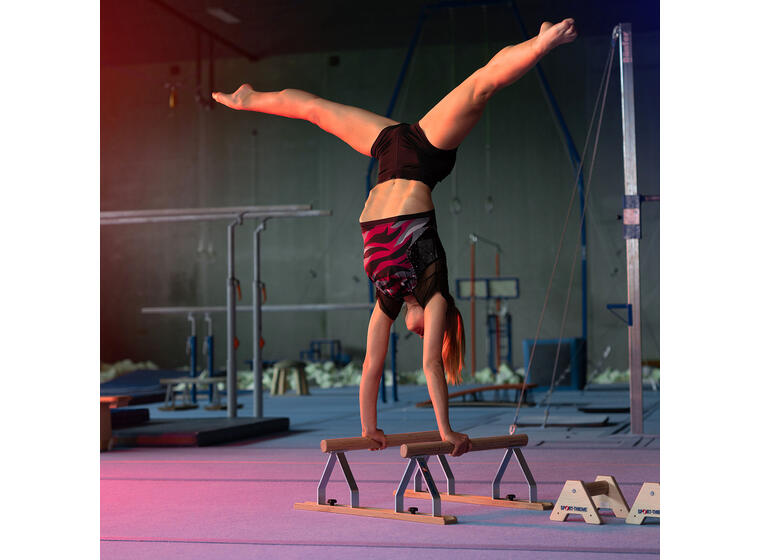 Push up bars Parallettes 