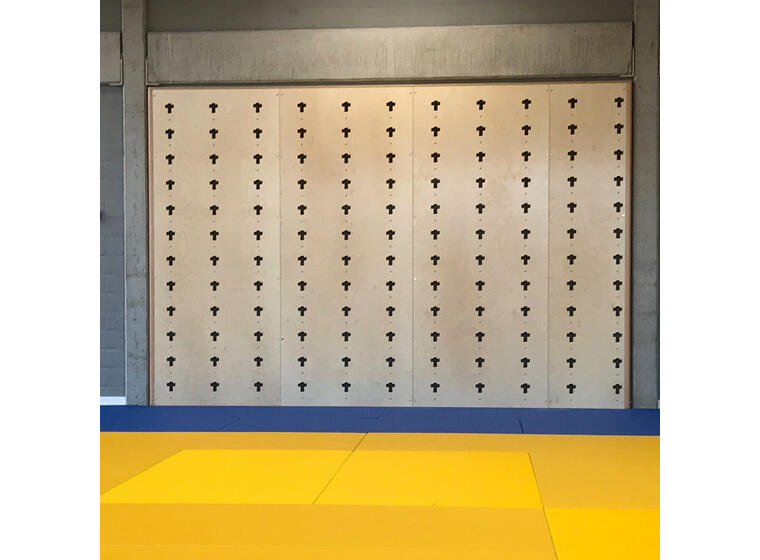 Cube Sports Multifunctional wall 315 x 240 cm 