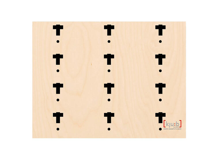 Cube Sports Multifunctional wall 315 x 240 cm 