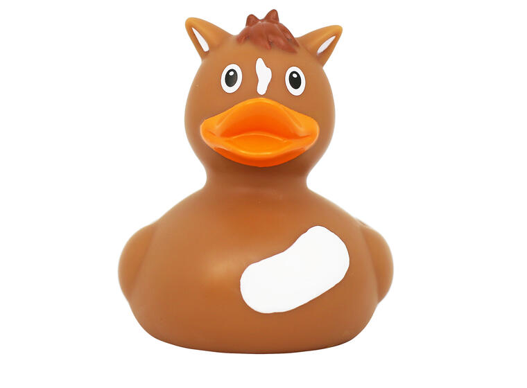 Badanka Ponny 