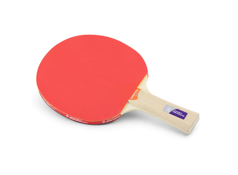 Bordtennisrack Klubben Guard Pro P40+ Skola | Förening | Nybörjare 
