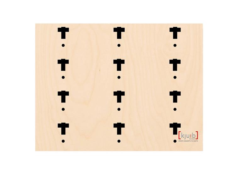 Cube Sports Multifunctional wall 105 x 240 cm 