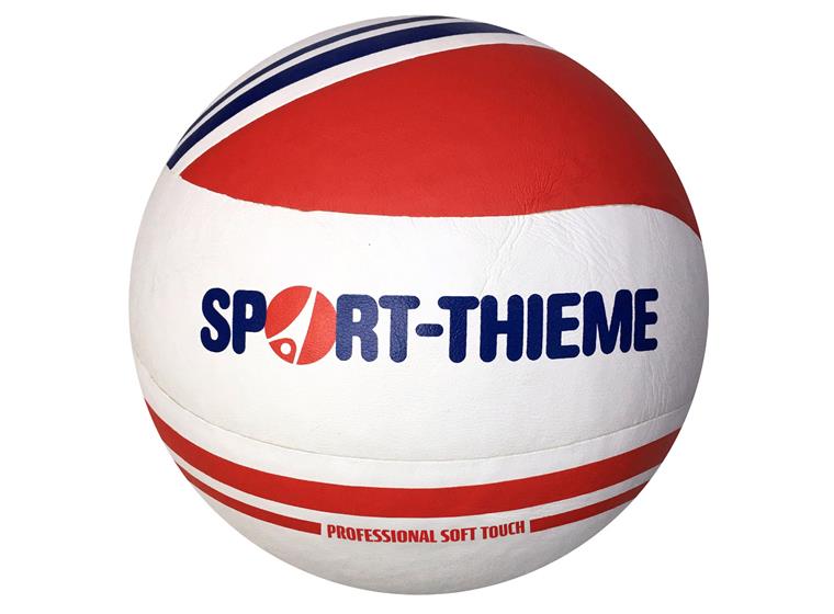 Volleyboll Gold Cup Str. 5 | Träningsboll