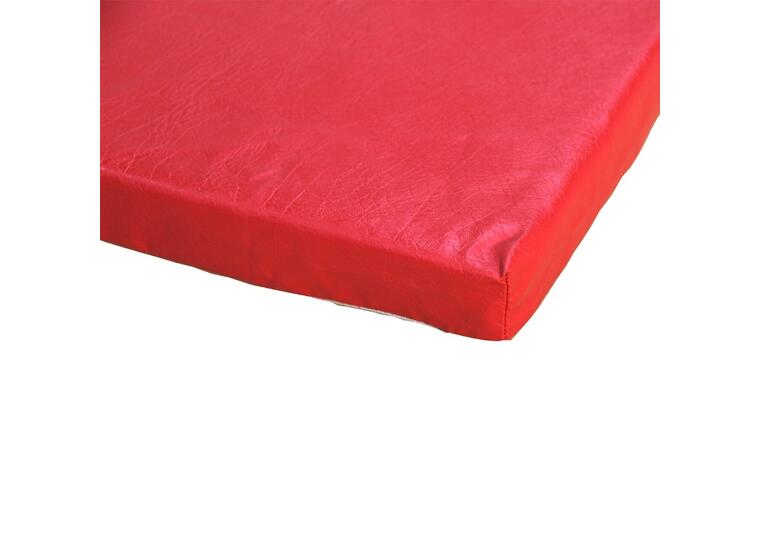 Gymnova Gymnastikmatta 200 x 100 x 4 cm 