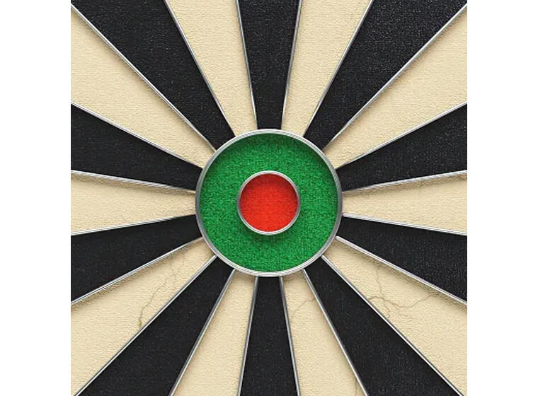 Dartskiva Kings Dart professionell HD Internationell standard 