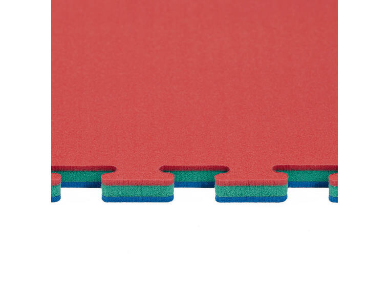 Judomatta Tatami 1 x1 m - 2 cm tjock Tatami officiell tävlingsmatta | Blå/Röd 