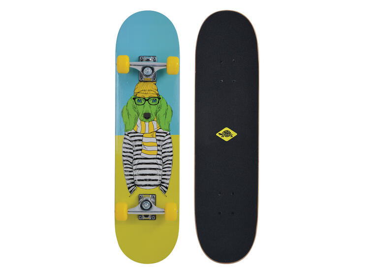Schildkröt Skateboard Kicker 31 Skateboard| Nybörjare 