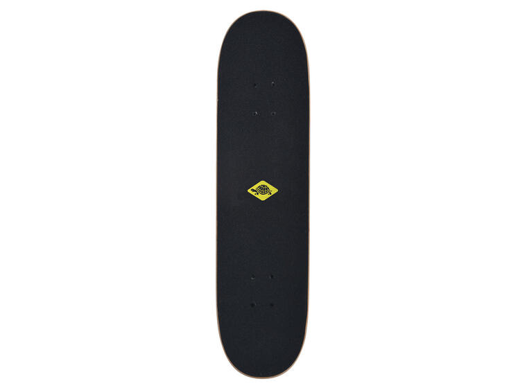 Schildkröt Skateboard Kicker 31 Skateboard| Nybörjare 
