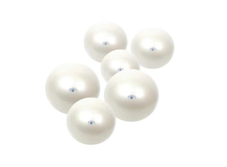 Gymnic Fit Ball paket 6 st 65 cm Träningsbollar fri från latex 