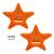 FINIS Floatie Friends | Starfish Level 3 för simträning 