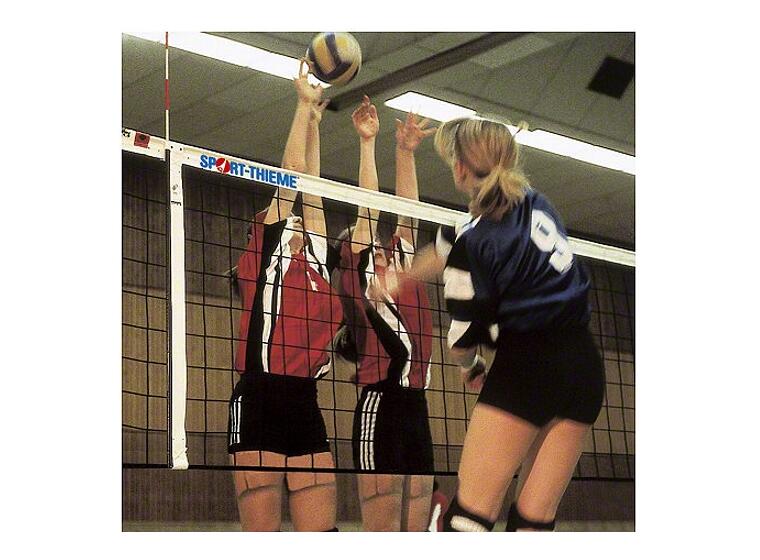 Volleybollnät DVV 9,5m För grundskola gymnasium 