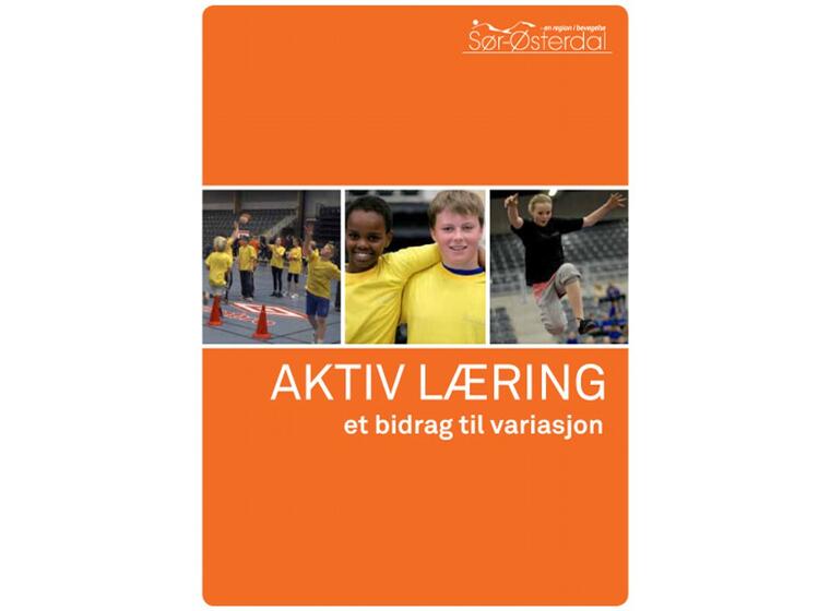 Bok Aktiv inlärning Aktivitetshäfte på norska 