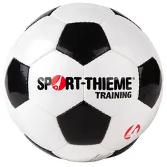 Fotboll Sport-Thieme Tr&#228;ning 4 Tr&#228;ningsboll f&#246;r de yngre | Gr&#228;s