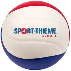 Volleyboll School strl 5 Volleyboll i bra kvalitet för skola