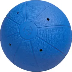 Goalball WV 25 cm med bj&#228;llra T&#228;vlingsboll f&#246;r synskadade