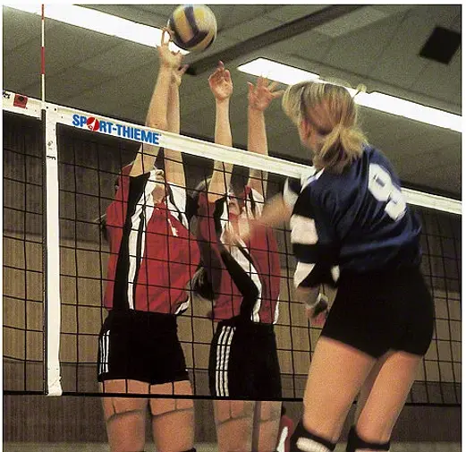 Volleybollnät DVV 9,5m För grundskola gymnasium 