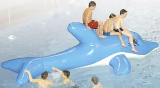 Airkraft Wasserspielgerät "Delphin"