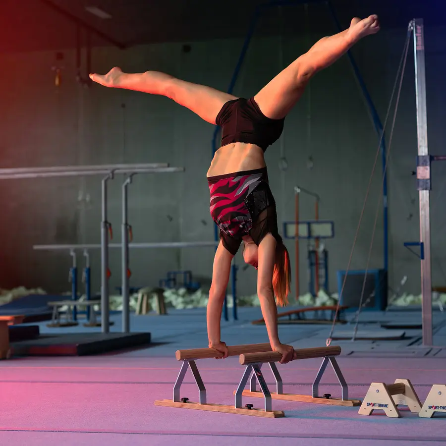 Push up bars Parallettes 