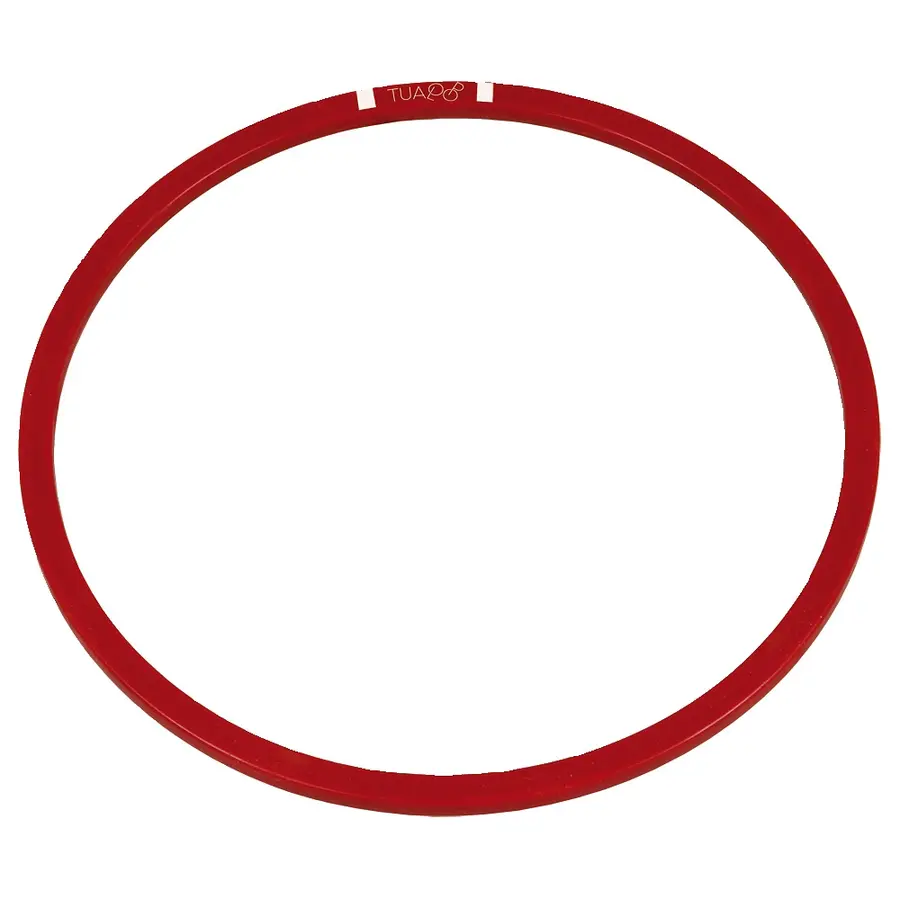 Ekologiskt ringspel Skicka och fånga ringen 