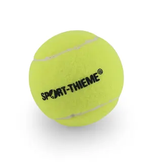 Tennisbollar och hink 60st. Bollar för skola och förening