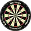 Darttavla Harrows Club Tournament Internationell standard