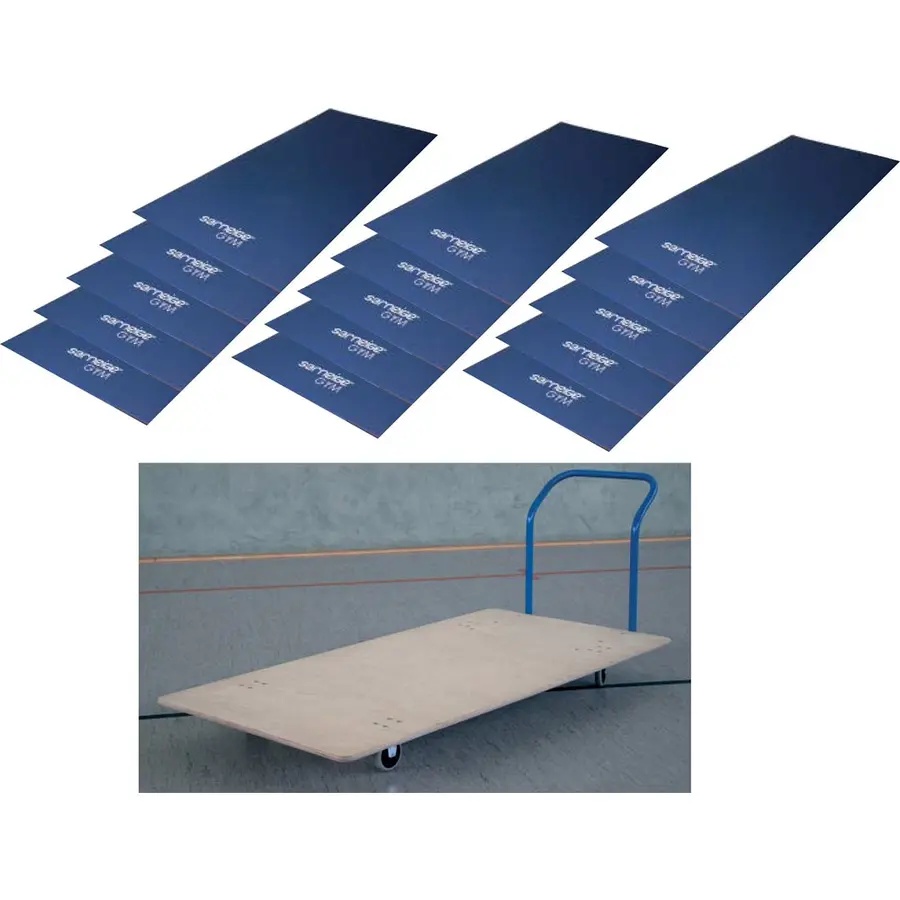 Gymnastikmattor Thermo med vagn Kategori 3 | 15 mattor| 200x100x6 cm 