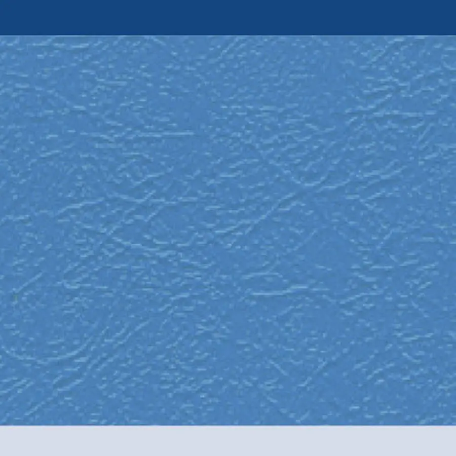 Gymnastikmatta Superlätt Blå Kategori 3 | 100x50x6 cm 