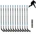 Ishockeyklubbor och puckar | 150 cm(R) 12 ishockeyklubbor senior | 6 puckar