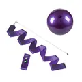 Rytmisk Gymnastik Startpaket Barn RG Band 2 m | RG boll | Lila