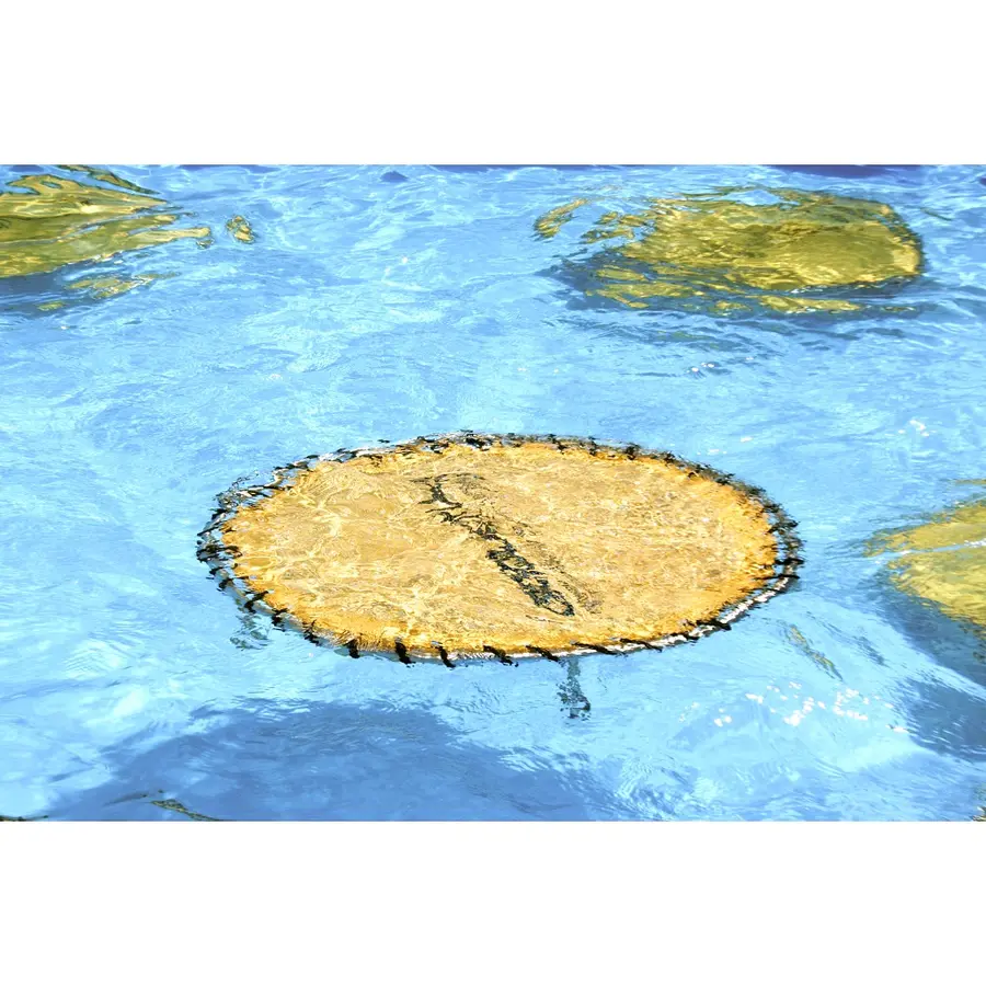 Wassertrampolin 