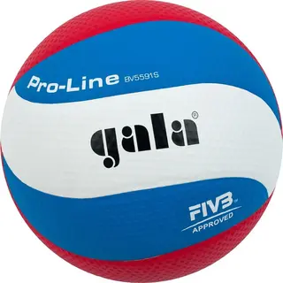 Volleyboll Gala Pro Line BV 5591 S Strl 5 | Matchboll FIVB