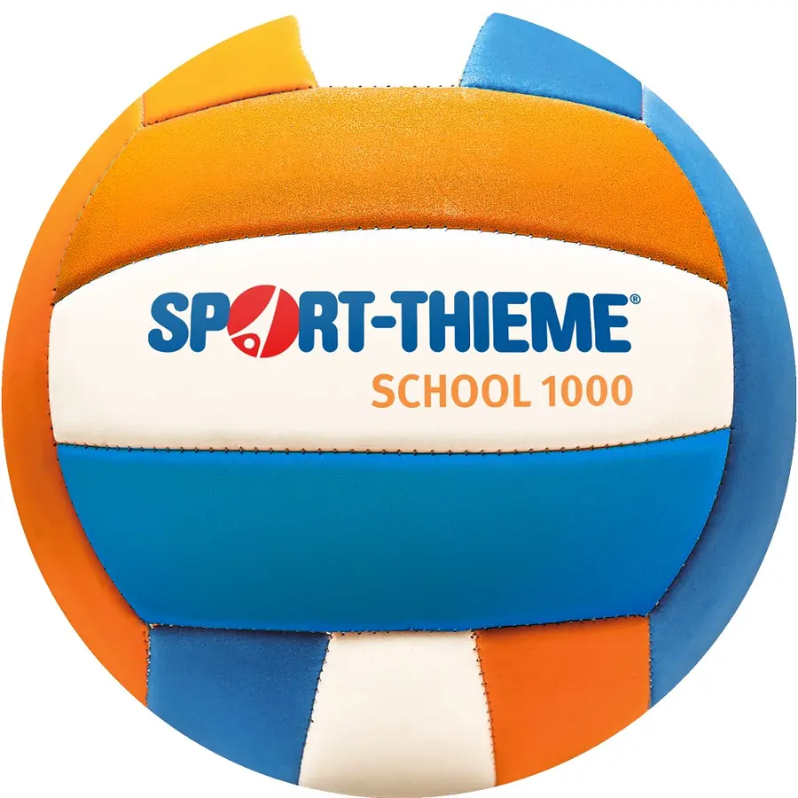 Thieme Volleyboll School 1000 Strl 5 | Träningsvolleyboll 