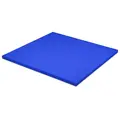 Sport-Thieme Judomatta | Bl&#229; 100 x 100 x 4 cm | Certifierad