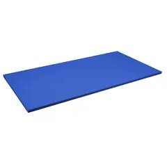 Sport-Thieme Judomatta | Bl&#229; 200 x 100 x 4 cm | Certifierad