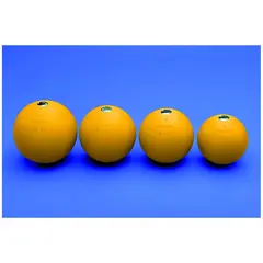 Kula Tr&#228;ning Polanik 3 kg - diameter 9,5 cm
